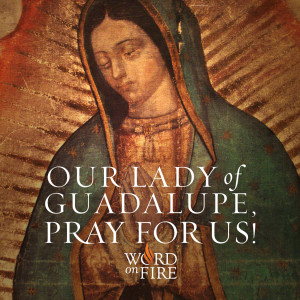 Guadalupe